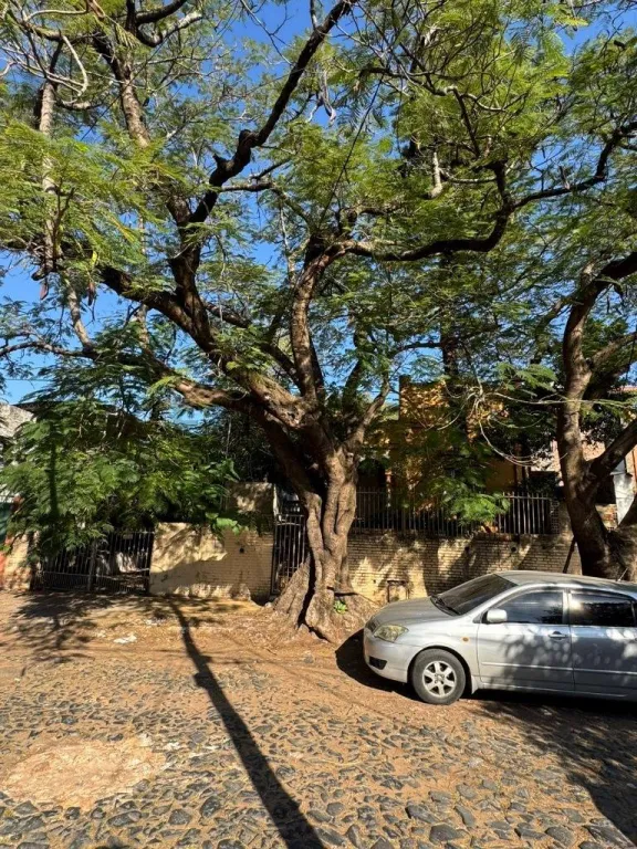 VENTA DE CASA A REFACCIONAR ESPECIAL PARA OFICINA YO PROPIEDAD — photo 3