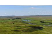 EN VENTA ESTANCIA AGROGANADERA 120HA - QUIINDY-YBICUY