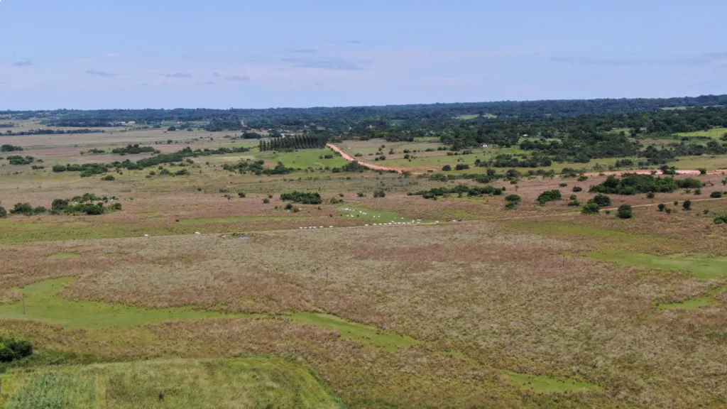 EN VENTA ESTANCIA AGROGANADERA 120HA - QUIINDY-YBICUY — foto 2