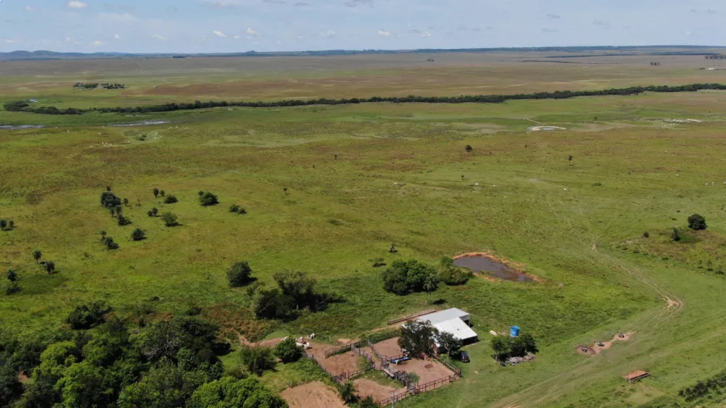EN VENTA ESTANCIA AGROGANADERA 120HA - QUIINDY-YBICUY — foto 3