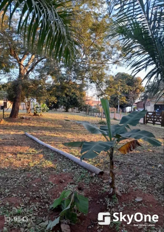 VENDO 3 TERRENOS EN ÑEMBY - PAI ÑU (JUNTOS O SEPARADOS ) — foto 2