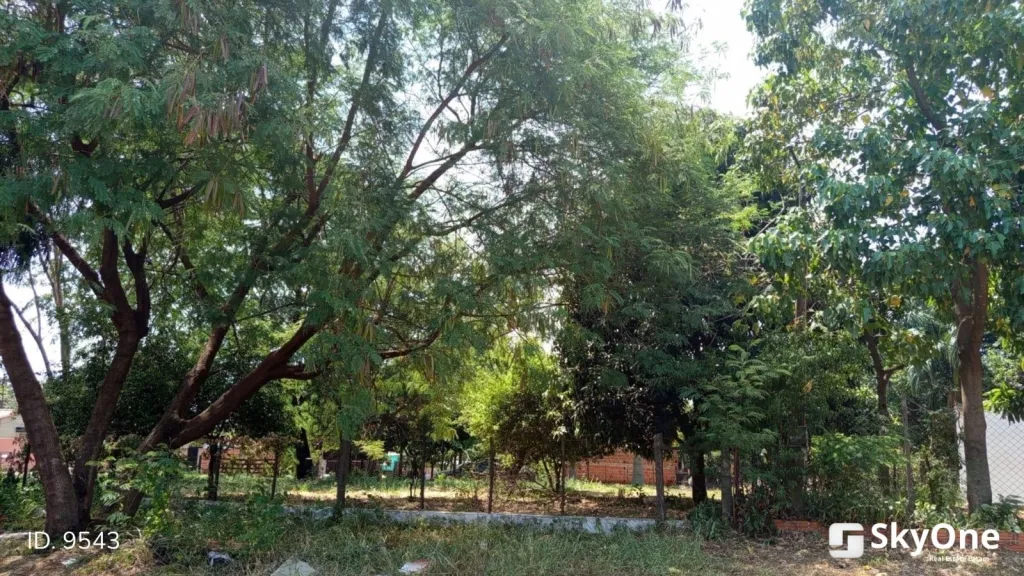 VENDO 3 TERRENOS EN ÑEMBY - PAI ÑU (JUNTOS O SEPARADOS ) — foto 3