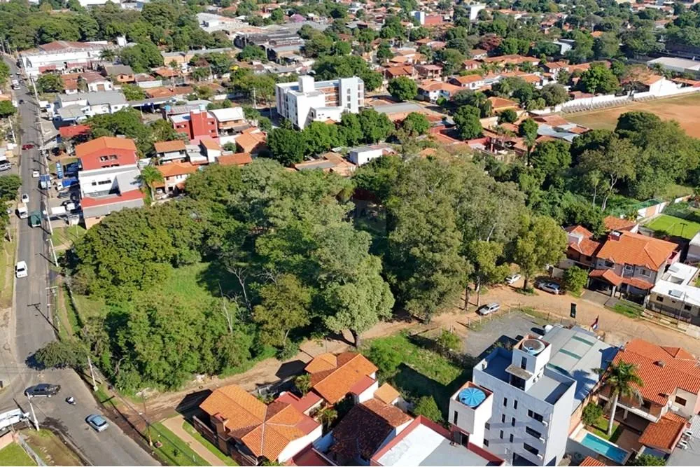 VENDO GRAN TERRENO EN FERNANDO NORTE — foto 3