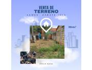 Terreno en Luque Zarate Isla