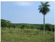 TERRENOS ALTOS - SANBER