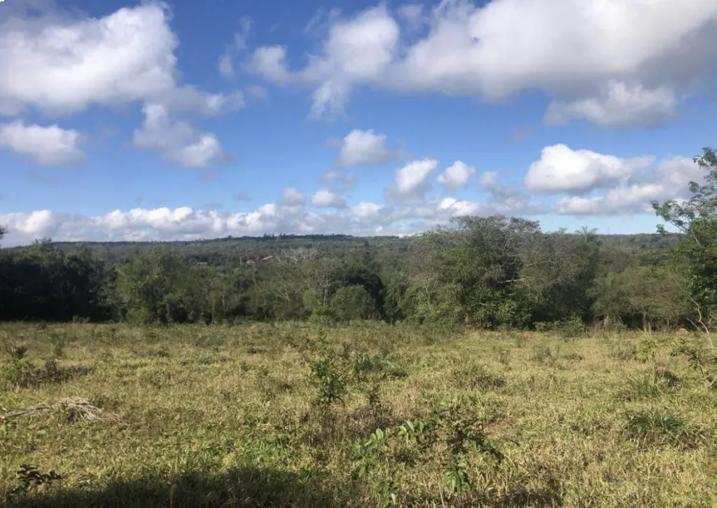 TERRENOS ALTOS - SANBER — foto 2