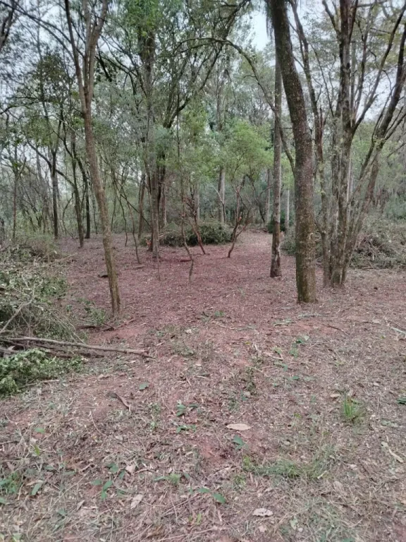 21 HA. DE CAMPO EN SAN BERNARDINO - ZONA CIERVO CUA — foto 2