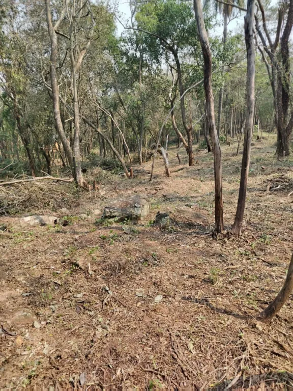 21 HA. DE CAMPO EN SAN BERNARDINO - ZONA CIERVO CUA — foto 3