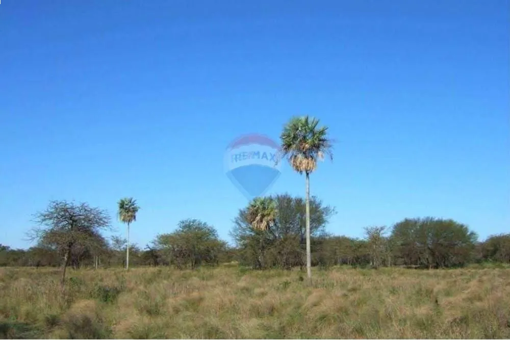 VENDO ESTANCIA SOBRE RUTA EN EL CHACO BENJAMIN ACEVAL — foto 3