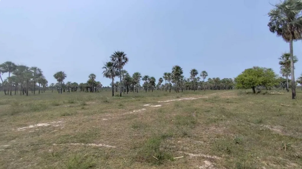 EN VENTA TERRENO EN CHACOI — foto 3