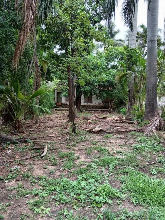 Terreno en Venta en Barrio Trinidad de Asuncion ID 34527 — foto 3