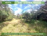 Vendo 9 Has en La Colmena, Paraguari