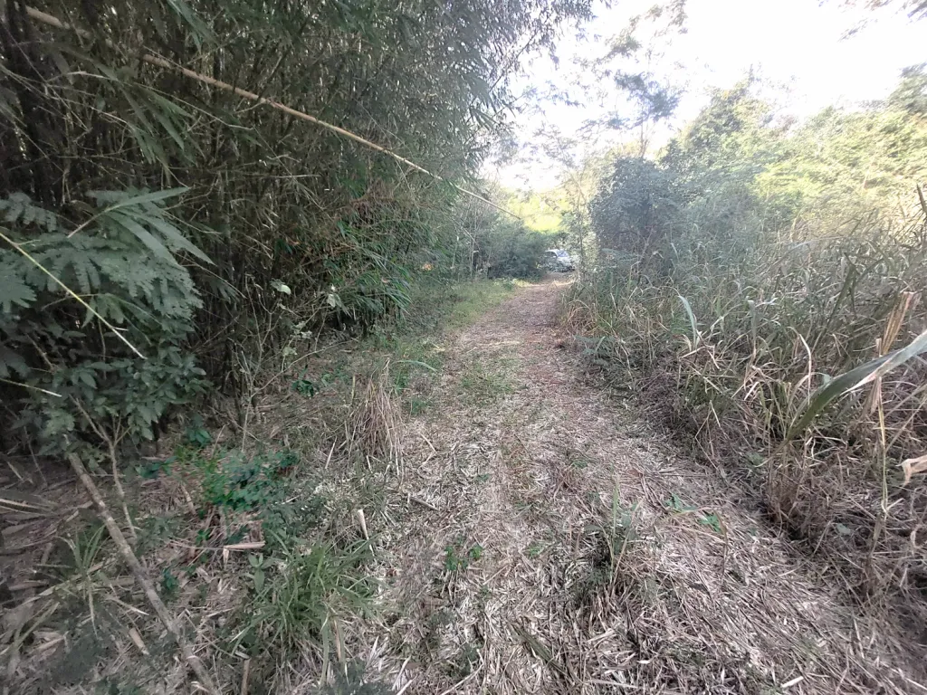 Vendo 9 Has en La Colmena, Paraguari — foto 3