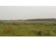 CAMPO 70 HECTAREAS, A 1HORA DE PASO YOBAI.