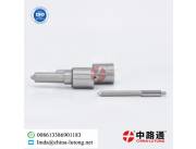 Common Rail Nozzle 4C1Q9K546BA & Common Rail Nozzle 4D14102