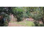 VENDO TERRENO EN ZONA PRIVILEGIADA FDO. DE LA MORA SUR