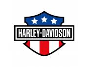 REPUESTOS HARLEY DAVIDSON AÑO 2025