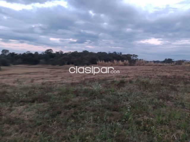 En Venta Terreno en Fram Itapúa ID 37343