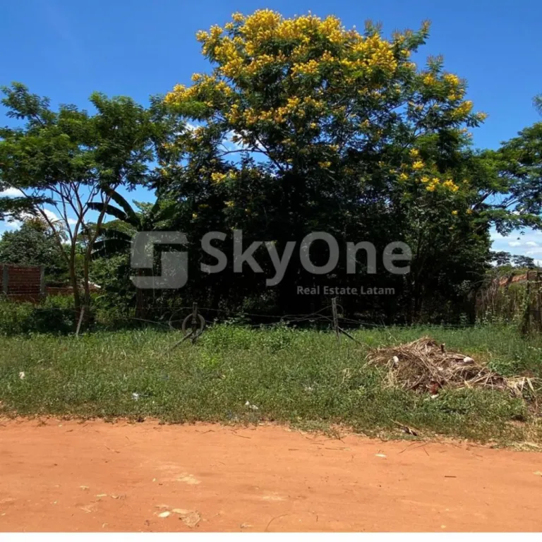 VENDO TERRENO EN ISLA BOGADO LUQUE — foto 3
