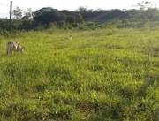 En Venta Terreno en Paraguarí ID 37887
