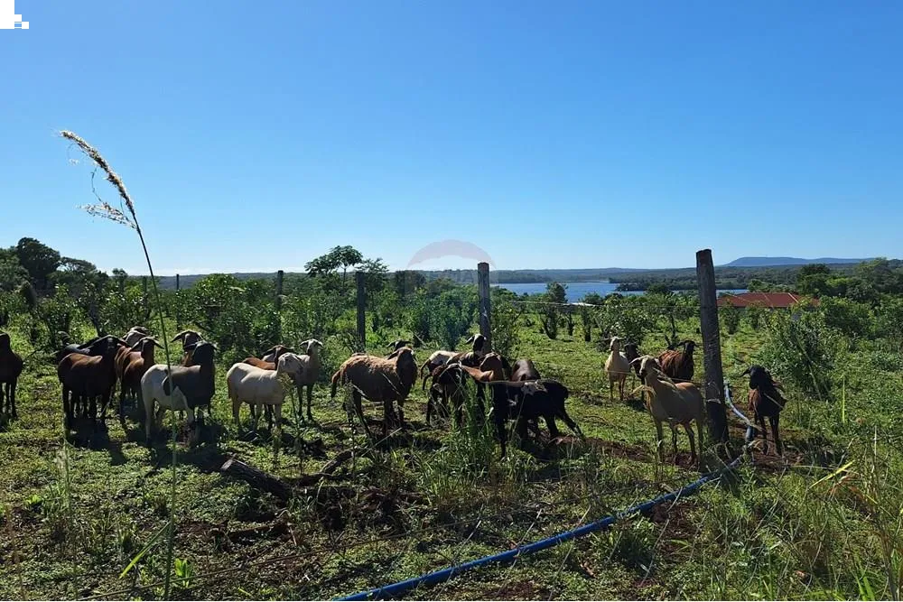 VENDO TERRENO EN ENCARNACION CAMPICHUELO CON SALIDA AL RIO PARANA — foto 3