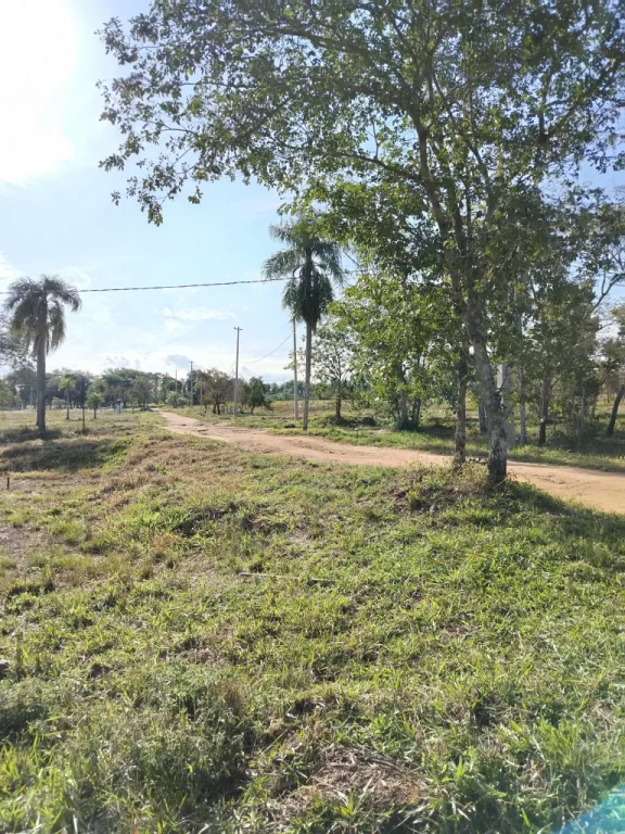 VENDO TERRENO EN LA COLONIA PIRATERA - DEPARTAMENTO DE CORDILLERA — foto 2