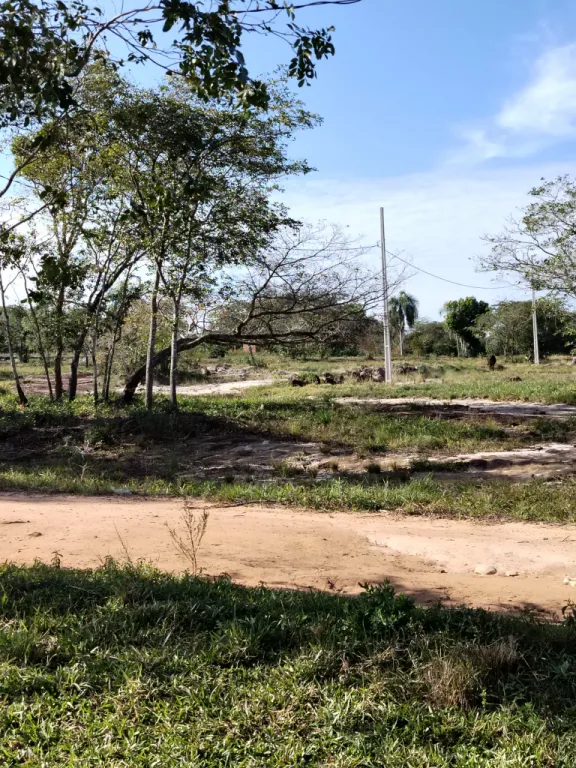 VENDO TERRENO EN LA COLONIA PIRATERA - DEPARTAMENTO DE CORDILLERA — foto 3