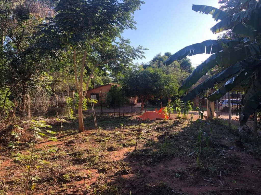Oferto amplio terreno en ubicacion privilegiada en San Lorenzo Profesora Pancha Prieto cas — photo 2