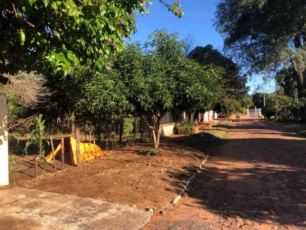 Oferto amplio terreno en ubicacion privilegiada en San Lorenzo Profesora Pancha Prieto cas — photo 3