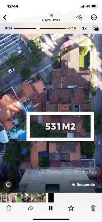 VENDO 3 PROPIEDADES JUNTAS SOBRE MOLAS LOPEZ 1277 M2 — photo 2