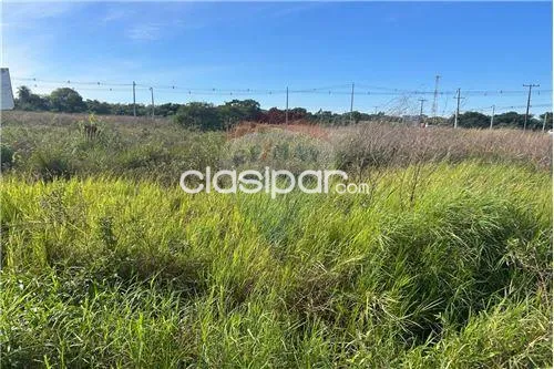 Terreno en Venta en Central Guarambaré Typychaty FULGENCIO YEGROS Fulgencio Yegros casi — foto 3