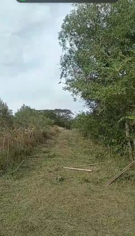 VENDO 7 HECTAREAS EN PARAGUARI CERRO LEON COD 4678 — foto 2