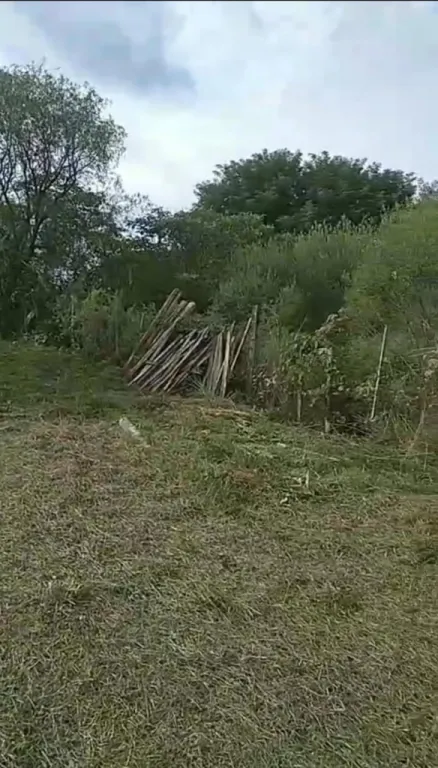 VENDO 7 HECTAREAS EN PARAGUARI CERRO LEON COD 4678 — foto 3