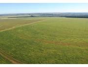 Vendo Propiedad Agrícola de 1.229 Hectáreas en Zona Santani - CLCS7187038