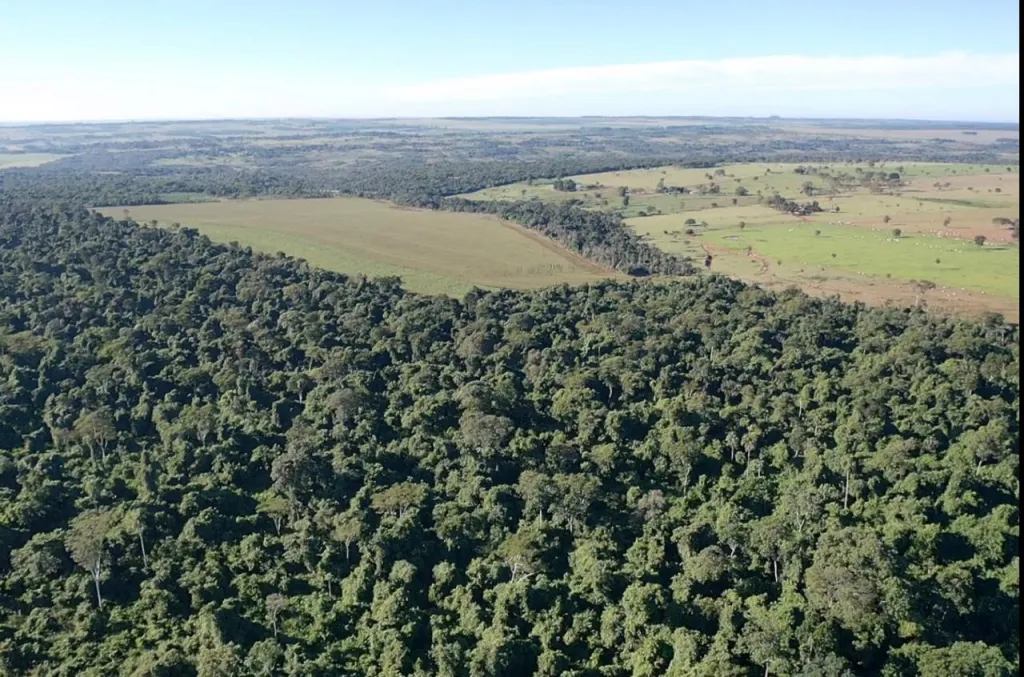 Vendo Propiedad Agrícola de 1.229 Hectáreas en Zona Santani - CLCS7187038 — foto 2