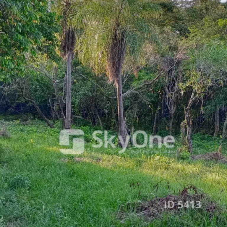 VENDO HERMOSO TERRENO EN ALTURA – NUEVA COLOMBIA SAN BERNARDINO — foto 2