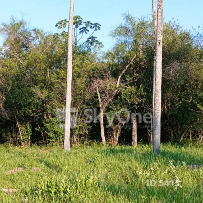 VENDO HERMOSO TERRENO EN ALTURA – NUEVA COLOMBIA SAN BERNARDINO — foto 3