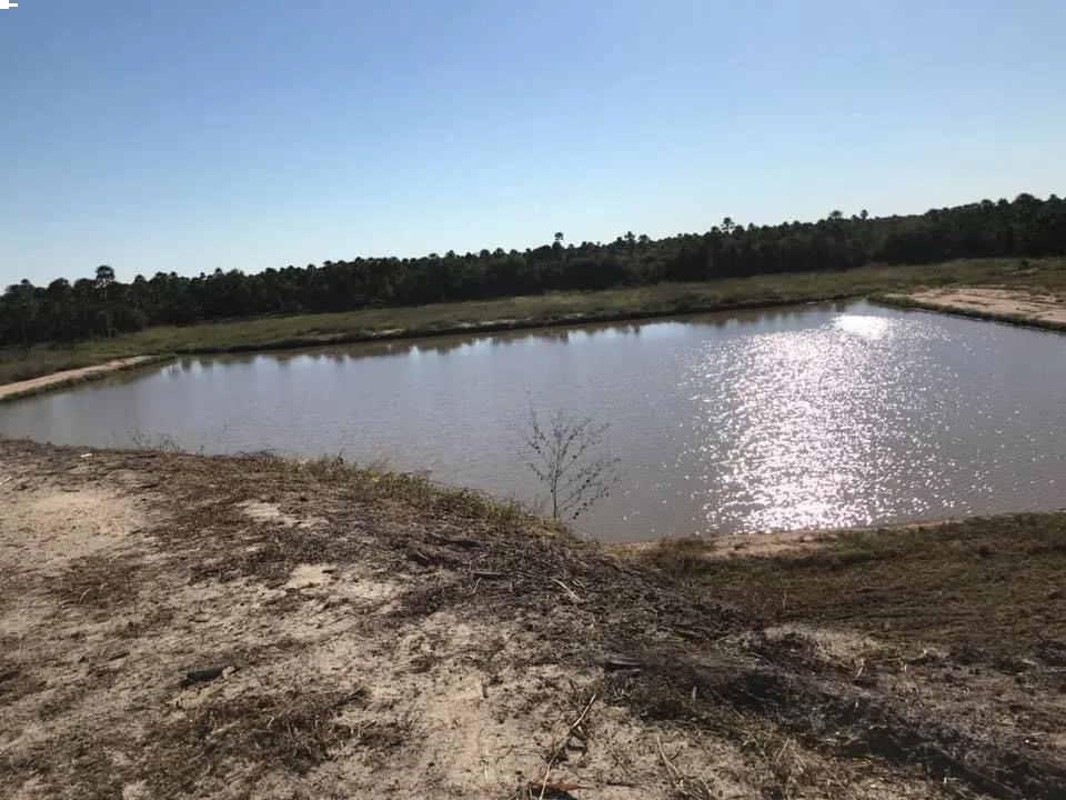VENDO ESTANCIA FORMADA DE 1290 HAS ZONA FORTÍN CABALLERO — foto 2