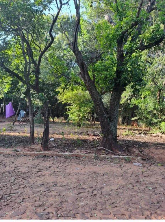 VENDO TERRENO EN ISLA BOGADO LUQUE 12X30 — foto 3