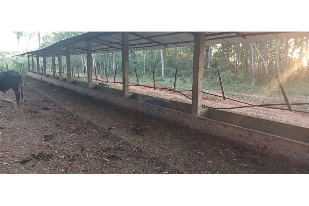 VENDO ESTANCIA P ENGORDE 35 HA EN TOBATI — foto 2
