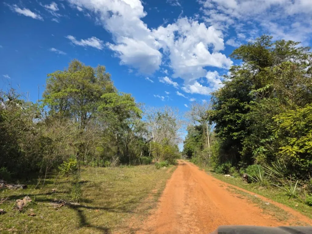 Vendo 117 Lotes en Itacurubi de la cordillera — foto 3