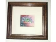 Vendo cuadritos - Asunción B° Mburicaó