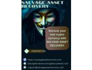 HOW I FINALLY RECOVERED MY LOST CRYPTO SUCCESSFULLY THROUGH SALVAGE ASSET RECOVERY