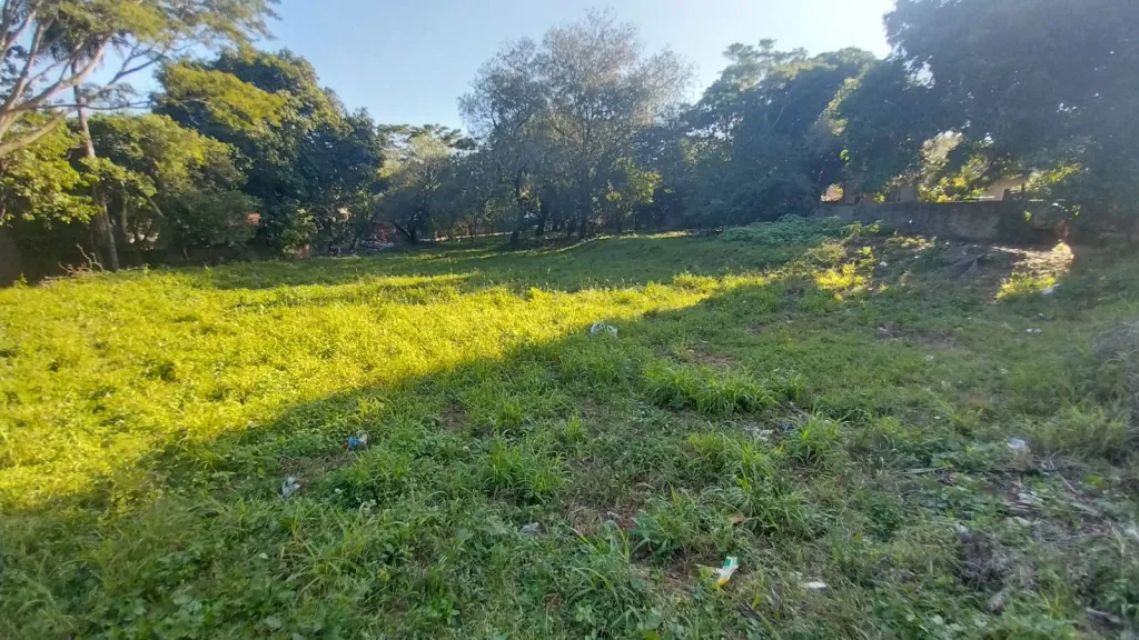Alquilo Amplio Terreno sobre Carretera de Lopez-Lambaré — foto 2
