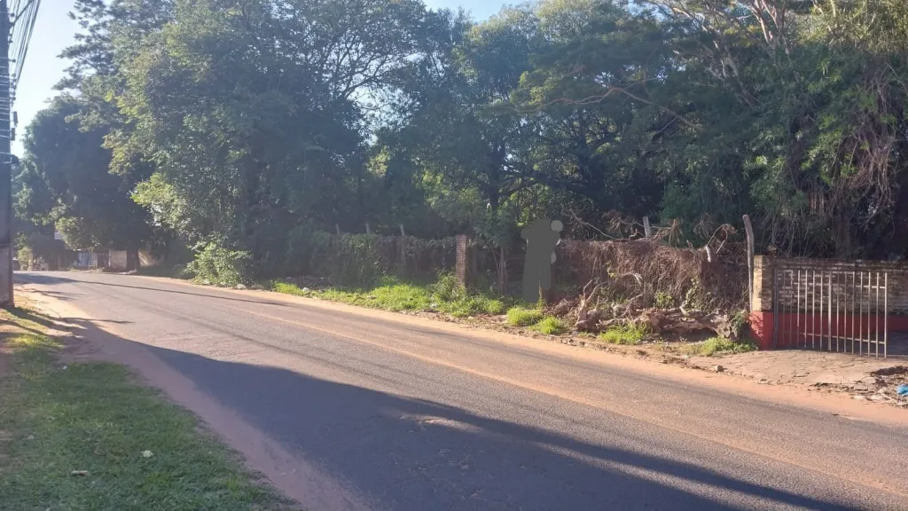 Alquilo Amplio Terreno sobre Carretera de Lopez-Lambaré — foto 3