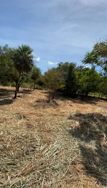 Vendo Terreno en Surubii Cerca del Campo de Golf en el Club Centenario — photo 2