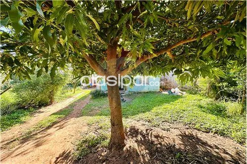 Terreno en Venta en Central Capiata Yataity Calle SN entre Adán Ramírez y 1 de Marzo Ca — foto 3