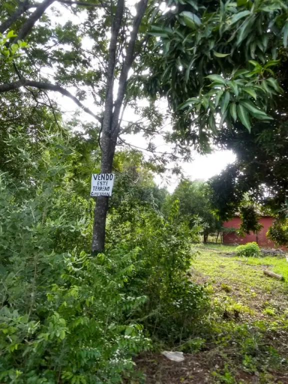 Terreno en Itauguá — foto 2