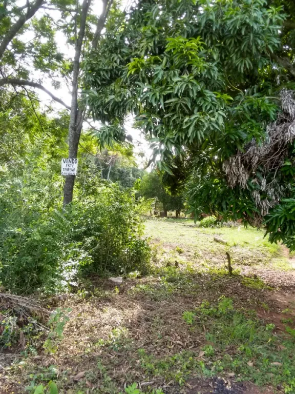 Terreno en Itauguá — foto 3