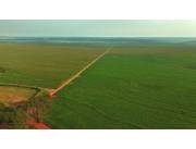 Alquilo Campo Agricola Mecanizado sobre Ruta en Ypejhú - 9850 Ha.